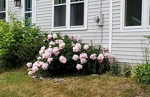 Brooksville Cottage | Updated Waterview Cottage Near Penobscot Bay - Sleeps 5