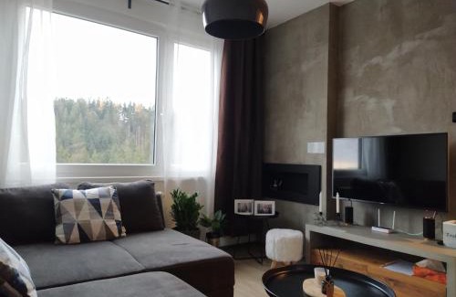 Janske Lazne Apartment | Stylish Apartment Steps from the Lift with Garage Access