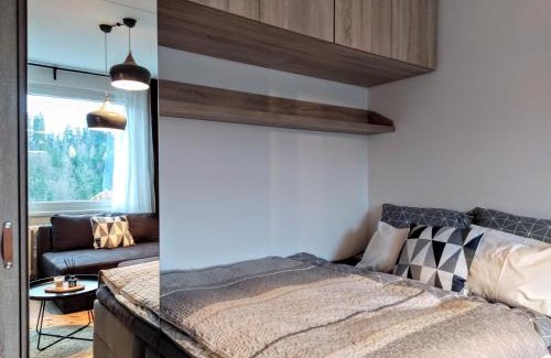 Janske Lazne Apartment | Stylish Apartment Steps from the Lift with Garage Access