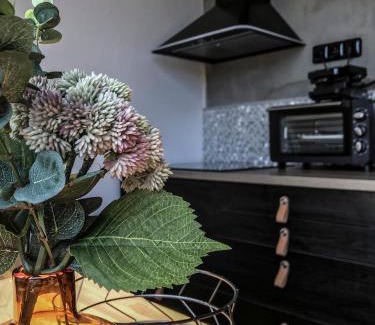 Janske Lazne Apartment | Stylish Apartment Steps from the Lift with Garage Access