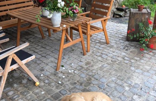 Kojetin Apartment | Charming Historic Apartment with Garden in Moravia