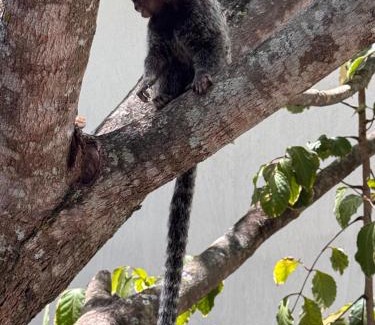 Novo Gravata House | Suíte 6 - Village Capixaba