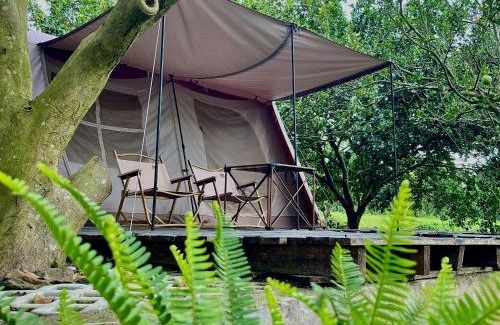 Chau Duc Other | Discover Comfort at Suối Camp with Oceanfront Amenities