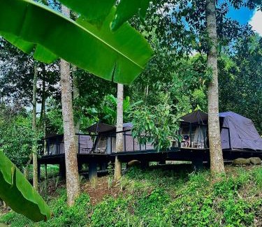 Chau Duc Other | Discover Comfort at Suối Camp with Oceanfront Amenities