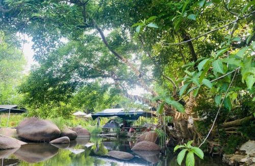 Ninh Hoa Other | Suối Mơ Dốc Tình Glamping & Retreat