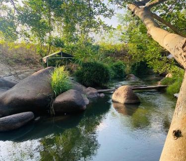 Ninh Hoa Other | Suối Mơ Dốc Tình Glamping & Retreat