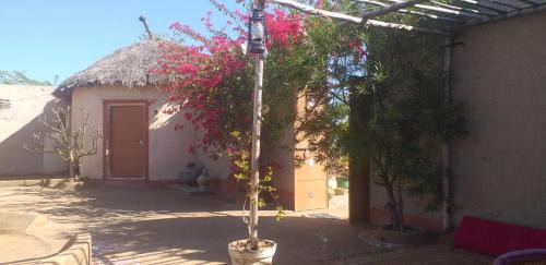 Ahor Bed & Breakfast | Pet-Friendly Subhadra Ecolodge with Breakfast & Family Perks