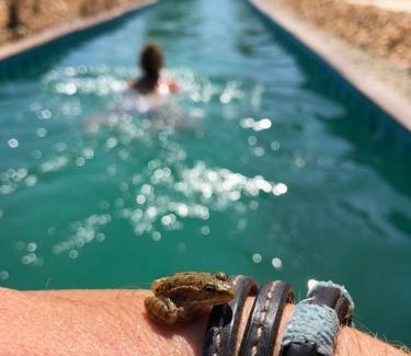 Santiago do Cacem Other | Top-Rated Sublim' Ecolodge with Ocean View and Pool
