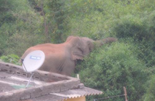 Bhubaneshwar House | Pet-Friendly Sublime Homestay with Top Amenities