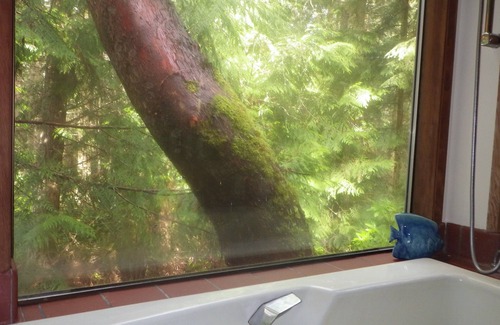 Adelma Beach Cabin | Inviting Port Townsend Retreat with Oceanfront Views