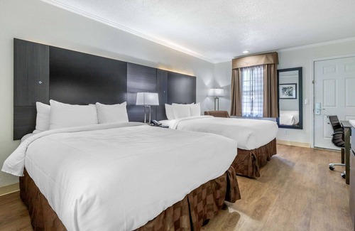 Red Hill Hotel | Convenient Suburban Studios Near the University with Pool