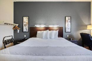 Ocoee Hotel | Pet-Friendly Retreat at Suburban Studios Ocoee Winter Garden