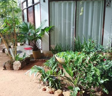 Anuradhapura Hotel | Budget-Friendly Sudunelum Holiday Resort with Free Breakfast