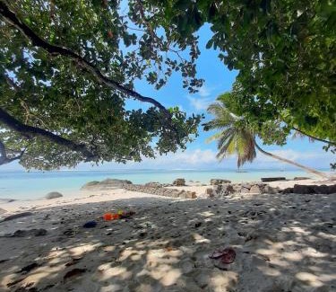 Mahe Island Apartment | Family-Friendly Sue Etoile Self Catering Retreat