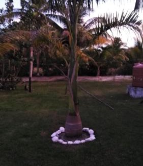 Hopkins House | Cozy Sugar Patch Inn with Private Beach & Ocean Views