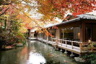 Gero Onsen Hotel | Elegant Suimeikan: 5-Star Stay with Oceanfront Views