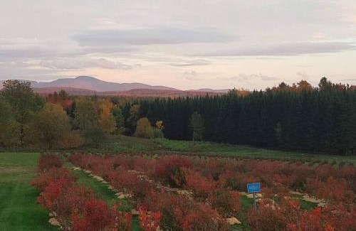 Brome-Missisquoi Regional County Municipality Apartment | Relaxing 2-Bedroom Suite in Scenic Countryside Retreat