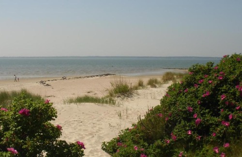 Nieblum House | Oceanfront Suite in Nieblum: Rated 9/10 by Guests