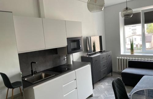 Panevezys Apartment | Suite in the heart of the city