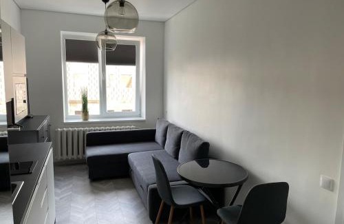 Panevezys Apartment | Suite in the heart of the city