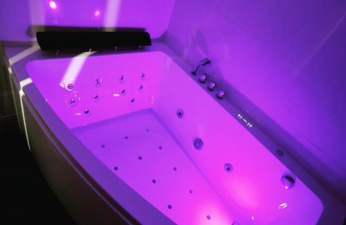 Le Mee-sur-Seine Apartment | Relaxing Suite Perla with Spa and Sauna Amenities