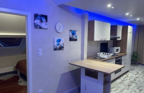 Niederschaeffolsheim Apartment | Outstanding SUITE WILLA CHEZ WILLI with Pool & Dining