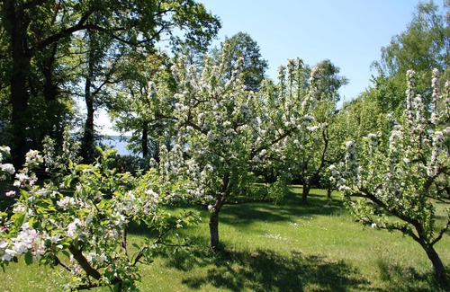 Bad Saarow Apartment | Inviting Suite with Terrace & Lake Access at Ferienhof Löschebrand