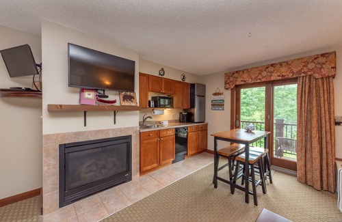 Thayerville Apartment | Cozy Lake View Studio Suite at Suites at Silver Tree A213