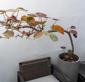 Lukang House | Discover Sukinab&b: A Child-Friendly Retreat Awaits