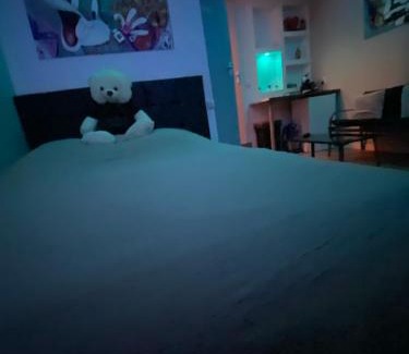 Lille Sud Hotel | Sultan Spa Privatif Lille