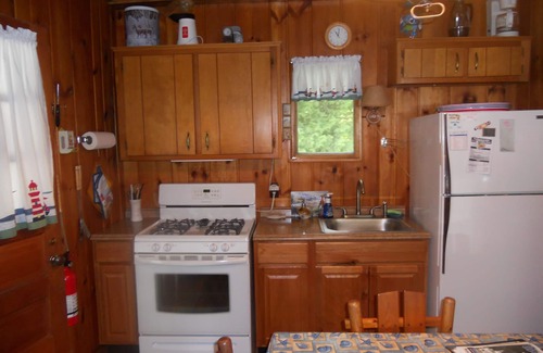 Silver Beach Cottage | Lakefront Summer Cottage on Beautiful Mullett Lake - 10/10