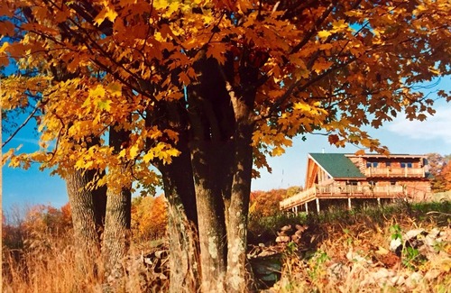 Lexington Cabin | Experience Summer Fun in the Catskills - Rated 9.8/10