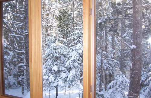 Mount Desert Cabin | Guest Rated 10/10: Summer Paradise Cabin in Acadia