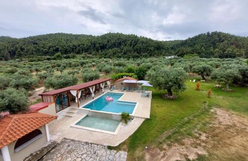 Vourvourou Apartment | Oceanfront Retreat: Summer Senses in Vourvourou Awaits