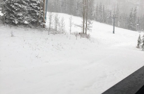 Purgatory Condo | Unforgettable Ski-In/Ski-Out Getaway at Edelweiss #10
