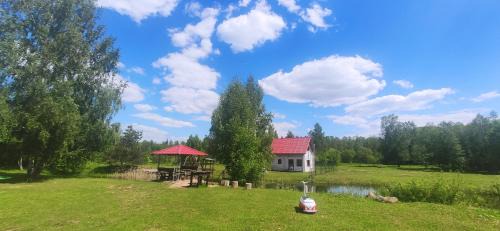Birzgale House | Discover Skaistkrasti: Family and Pet-Friendly Retreat