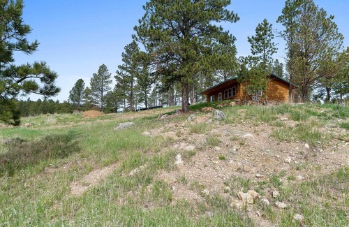 Custer House | Idyllic Sun-Filled Cabin with Pond Views & Hot Tub