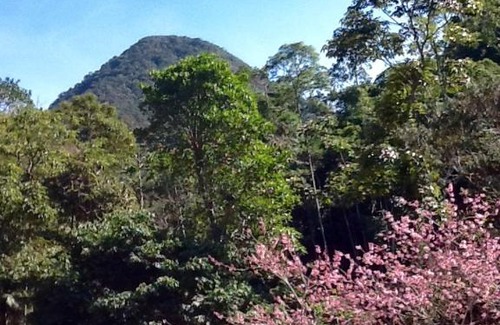 Petropolis Apartment | Discover Sun Guardian Guest: Pet-Friendly Retreat with Pool