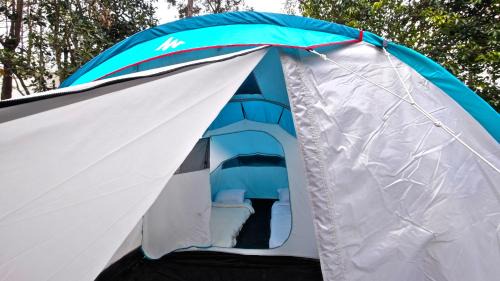 Yercaud Hotel | Discover Sun Resorts and Adventures: Pet-Friendly Getaway