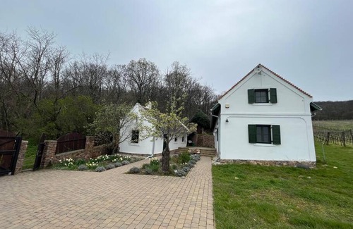 Abrahamhegy House | Relaxing Sun & Wine Retreat at Balaton - Pet Friendly Stay
