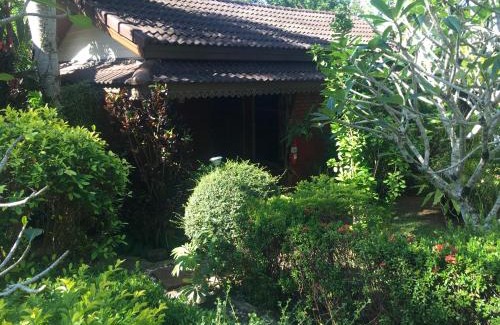 Khuekkhak House | Beachfront Sunflower Bungalow with Pool and Ocean Views