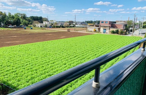 Yachimata House | Welcoming Sunhouse in Yachimata, Chiba - Pet Friendly Stay