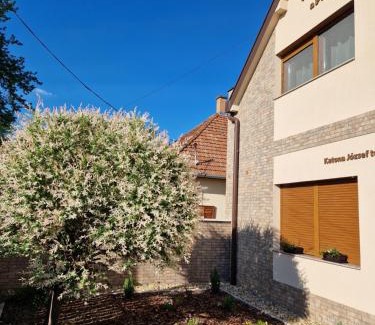 Gyula Apartment | Oceanfront Sunlight Apartman with Exceptional 10/10 Rating