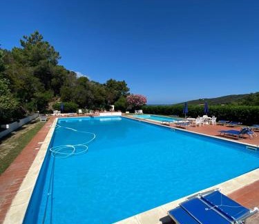 Procchio Apartment | Bright and Inviting Sunlight Apartment with Pool Access