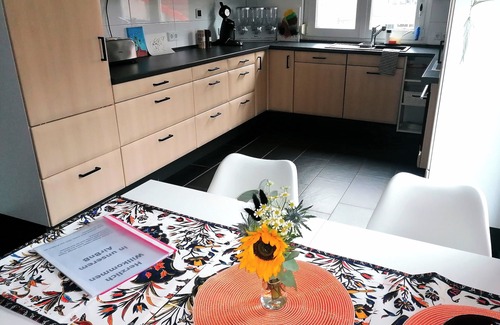 Denzlingen Apartment | Sunny and large 1 room apartment (60m²) on the outskirts of Denzlingen /15 km from Freiburg