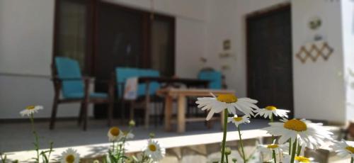 Trikeri House | Beachfront Bliss at Sunny Days Beach House for Families