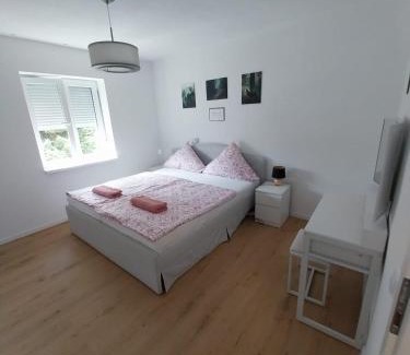 Donaueschingen Apartment | Sunny Donau