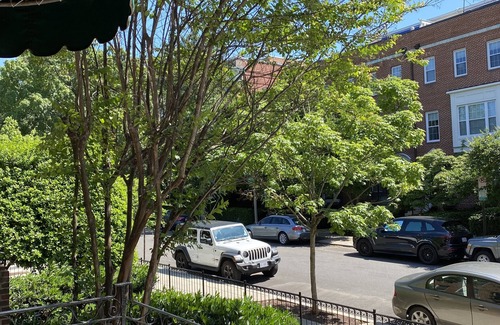 Adams Morgan Apartment | Cozy 1 Bedroom Apartment in Vibrant Adams Morgan