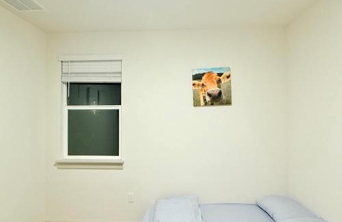 McNeil House | Sunny House