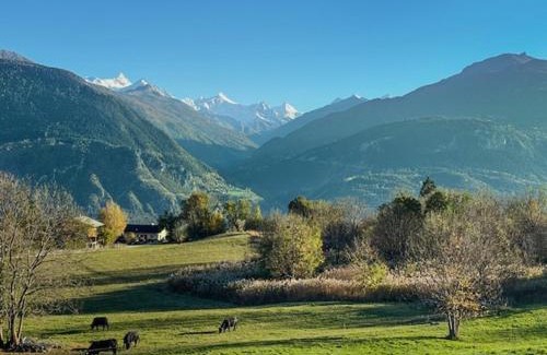 Crans-Montana Apartment | Sunny Lily facing the swiss Alps - Crans Montana